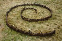 spirale-7